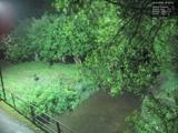 03 : 40