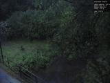 21 : 20