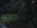 21 : 24