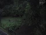 21 : 28