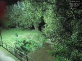 20 : 40