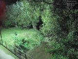 20 : 56