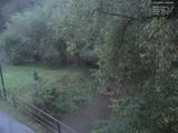 19 : 24