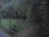 19 : 36