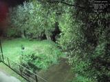 20 : 40