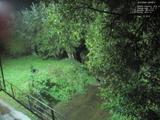 04 : 56