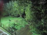 05 : 36
