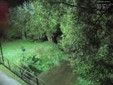 20 : 20