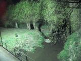 02 : 36