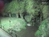02 : 36