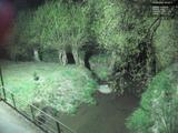 02 : 48