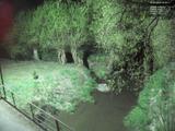 00 : 52