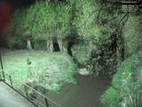02 : 36
