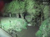 03 : 20