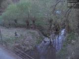 20 : 40