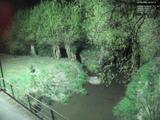 00 : 40