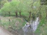 17 : 16
