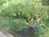 17 : 44