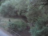 20 : 40