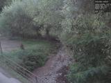 19 : 24