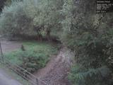 19 : 24