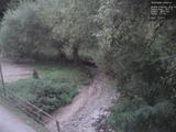 19 : 20