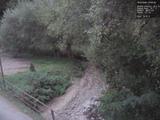 19 : 24