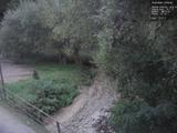 19 : 28