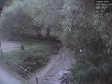 19 : 20