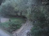19 : 24