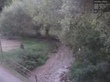 19 : 20