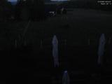 22 : 44