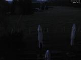 03 : 36