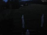 20 : 16