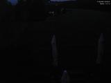 20 : 20