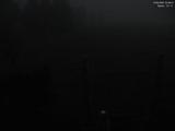 04 : 56