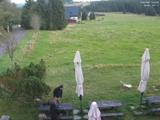17 : 40
