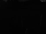 02 : 04