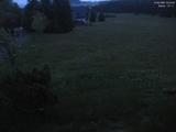 03 : 44
