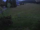 21 : 40