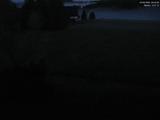 22 : 44