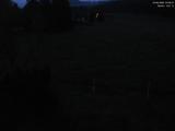 03 : 36