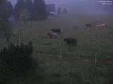 03 : 40