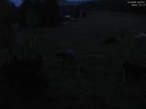04 : 04
