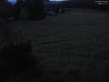 03 : 40
