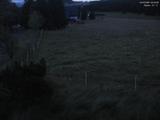 03 : 44