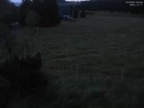 04 : 20