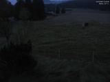 21 : 36