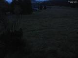 03 : 52