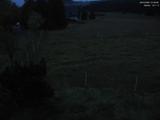 21 : 28